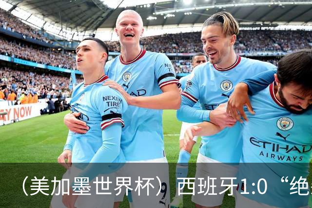 （美加墨世界杯）西班牙1:0“绝杀”葡萄牙 C罗结束世界杯征程